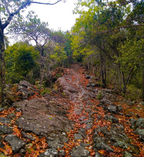 mokokchung-kaziranga