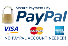 paymentnow